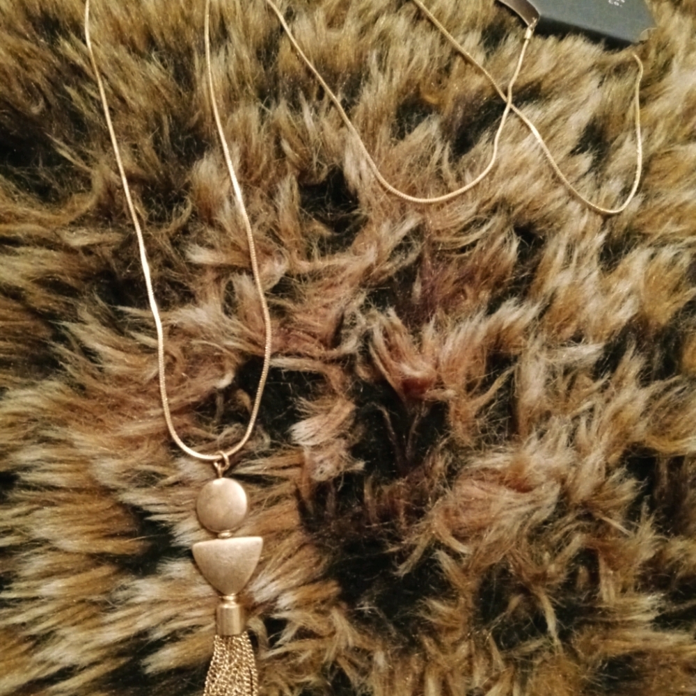 Universal Thread long gold necklace